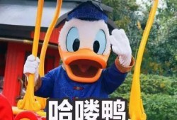 娱乐吃瓜鸭微博,揭秘娱乐圈幕后故事